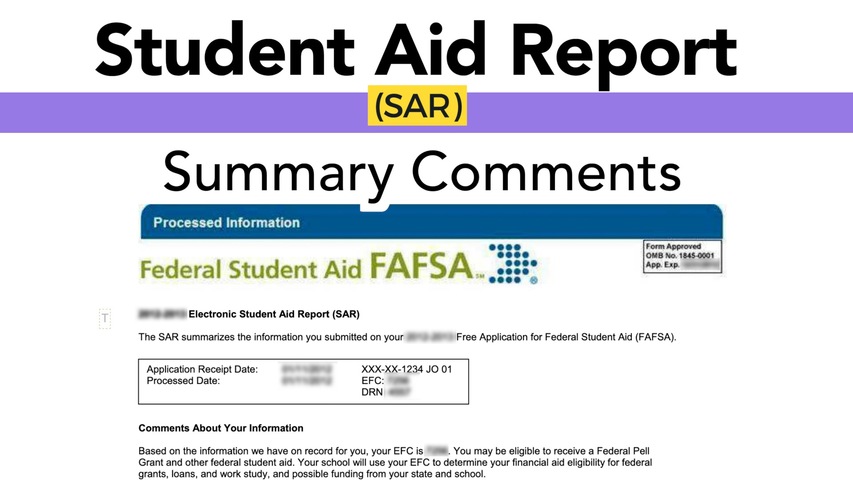 学生资助报告(SAR) -总结评论(*SAR模块)