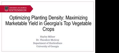 Hayley Milner Optimizing Plant Density Maximizing Marketable Yield In