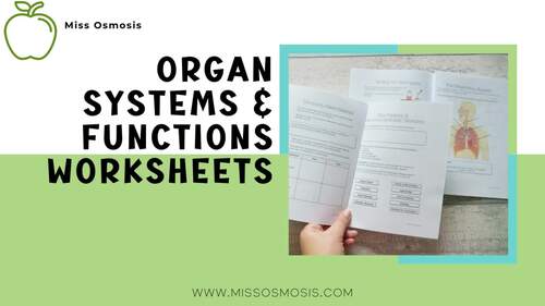 Organ Systems And Their Functions Worksheets By Miss Osmosis TPT