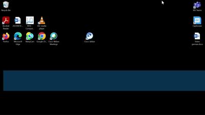 Article 19 - International Centre Against Censorship, Ms. Svetlana Sens