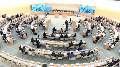 Pakistan (on behalf of the OIC), Mr. Zaman Mehdi