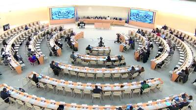 International Federation for Human Rights Leagues, Ms. Maria Sologianni 