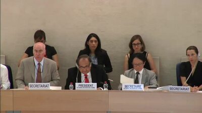 Mr. Joaquín A. Maza Martelli, President of the Human Rights Council (Adoption)