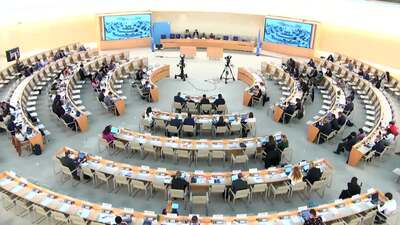 Organization of Islamic Cooperation (OIC)