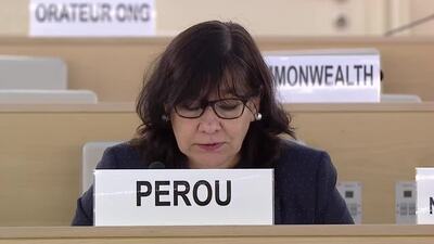 Peru, Ms. Sonia Tincopa