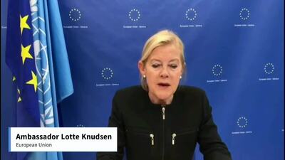 European Union, Mr. Lotte Knudsen