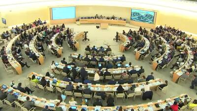 Syrian Arab Republic (Country Concerned) Mr. Hussam Edin Aala