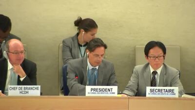 Mr. Vojislav Šuc, President of the Human Rights Council (Action on L.29)