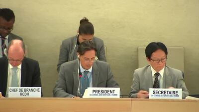 Mr. Vojislav Šuc, President of the Human Rights Council (Action on L.30)