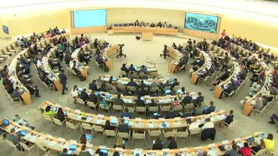 Russian Federation, Mr. Alexey Goltiayev (Introduction of Amendments)