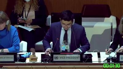 Mexico (on behalf of a group of countries), Ms. Francisca E. Méndez Escobar
