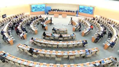 United Nations Watch, Ms. Salome Ginsburg