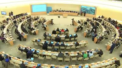 Ms. Maud de Boer-Buquicchio, Special Rapporteur on Sale of Children (Introduction)