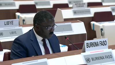 Burkina Faso (on behalf of a Group of the African States), Mr. Dieudonné W. Désiré Sougouri