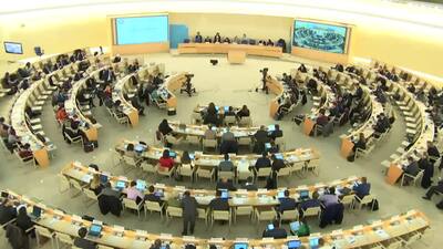 Mr. Joseph Cannataci, Special Rapporteur on the on Right to Privacy (Comments and Answers)