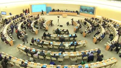 Mr. Joseph Cannataci, Special Rapporteur on the on Right to Privacy (Introduction)