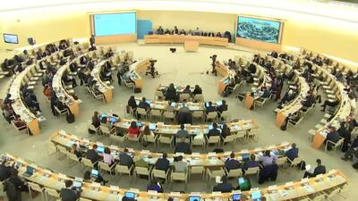 Pakistan (on behalf of the OIC), Mr. Tahir Hussain Andrabi