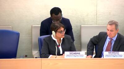 Mr. Mohamed Chande Othman, Chair of the international commission of human rights experts