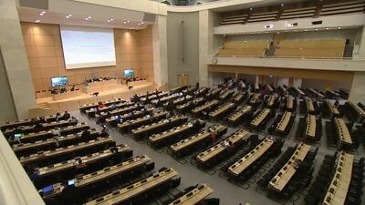 Ms. María del Socorro Flores Liera, Vice-President of the Human Rights Council (Adoption)