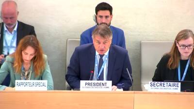 Venezuela (Bolivarian Republic of) (on behalf of a group of countries), Mr. Hector Constant Rosales