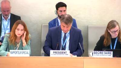 Syrian Arab Republic (Country Concerned), Mr. Haydar Ali Ahmad