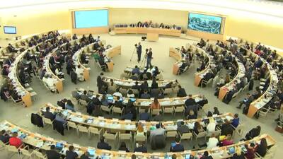 Pakistan (on behalf of the OIC), Mr. Tahir Hussain Andrabi (Introduction)