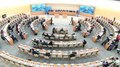 Ms. Maira Mariela Macdonal Alvarez, Vice-President of the Human Rights Council (Adoption)