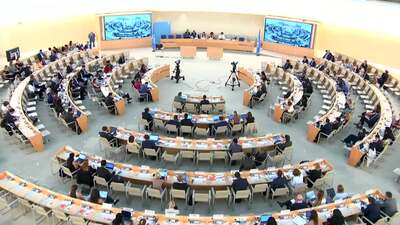 Women's International League for Peace and Freedom, Ms. Tessa Cerisier