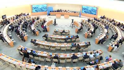 United Nations Watch, Mr. Hillel Neuer