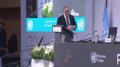 International Labour Organization (ILO)