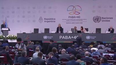 International Atomic Agency (IAEA)