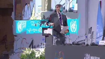 United Nations Volunteers (UNV) 