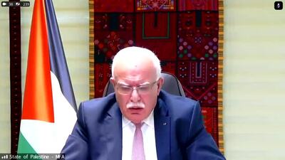 State of Palestine (Country Concerned), Minister of Foreign Affairs and Expatriates, H.E. Mr. Riad Malki