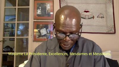 Mr. Doudou Diène, Chair of the Commission of Inquiry on Burundi (Introduction)