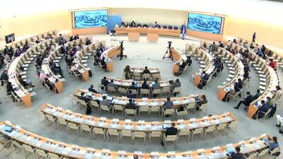 CIVICUS - World Alliance for Citizen Participation (Joint Statement), Ms. Róisín Dunbar