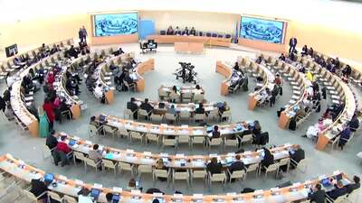 Vanuatu, Ms. Antonella Picone