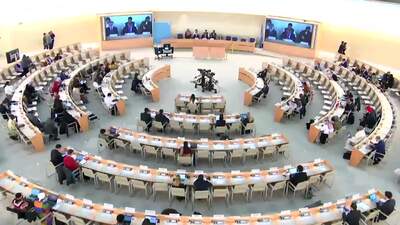 Mr. David Boyd, Special Rapporteur on the Issue of Human Rights Obligations Relating to Environment (Comments and Answers)