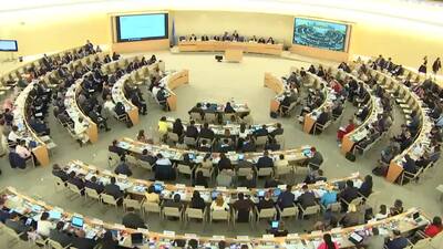 Democratic Republic of the Congo, Mr. Zénon Mukongo Ngay