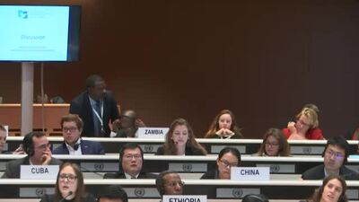 Dutch Model UN
