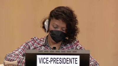 Maat for Peace, Development and Human Rights Association, Mr. Mahmoud Metwally