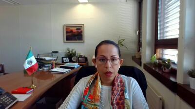 Mexico (on behalf of a group of countries), Ms. Erika Gabriela Martínez Liévano