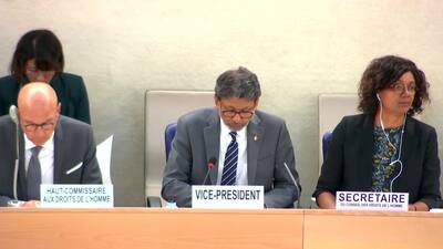 Democratic People's Republic of Korea, Mr. Han Tae Song