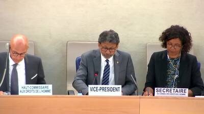 International Federation for Human Rights Leagues, Mr. Mert Ayik
