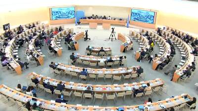 Human Rights Watch, Mr. Nicola Paccamiccio