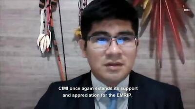 Conselho Indigenista Missionário (CIMI), Mr. Ivo CÍpio Aureliano (Joint Statement) 