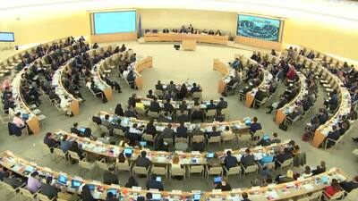 Egypt, Mr. Amr Adel Abdelaziz Elmeligy