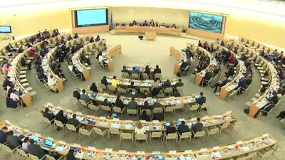 Russian Federation, Mr. Dmitry Vorobiev (Introduction of L.43 - L.45)