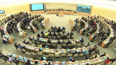 Bahamas, Mr. Frank Davis