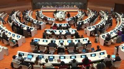 Dutch Model UN