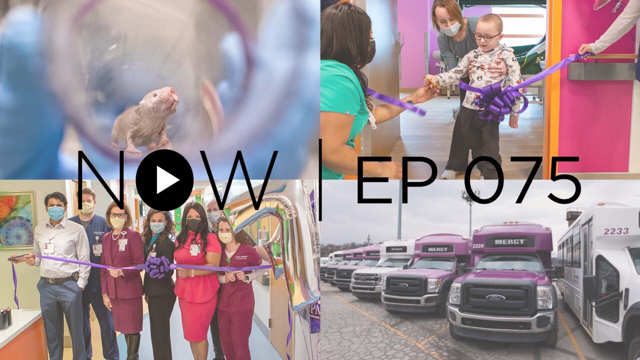 Naked Mole-Rats, Rehab Renovation, A Cleaner Future | NOW EP075